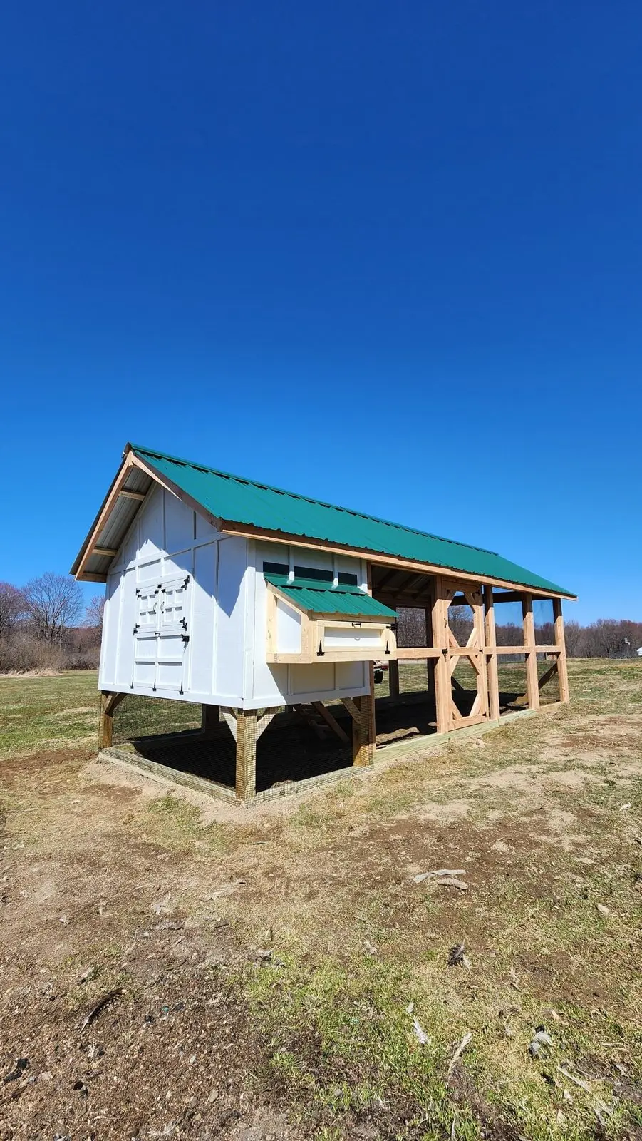 Custom coop or enclosure built by Triano Farms in New Jersey — build 5