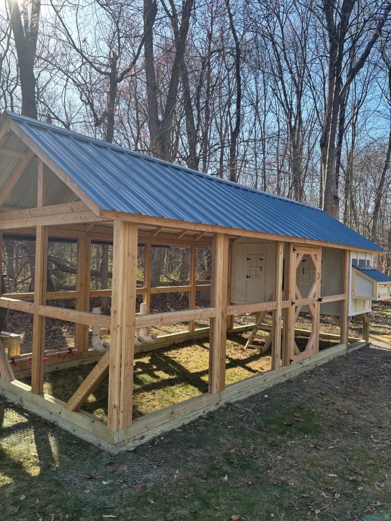 Custom chicken coop with a blue metal roof and full-height cedar run built by Triano Farms in New Jersey